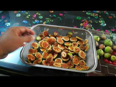 How to Dry Figs - How to Dehydrate Figs - Preserving the Harvest - Drying Figs