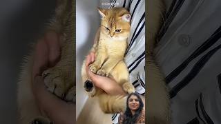 Not so smart 🥰🐾💞 #new #pets #trending #funny #latest #facts #viral #short