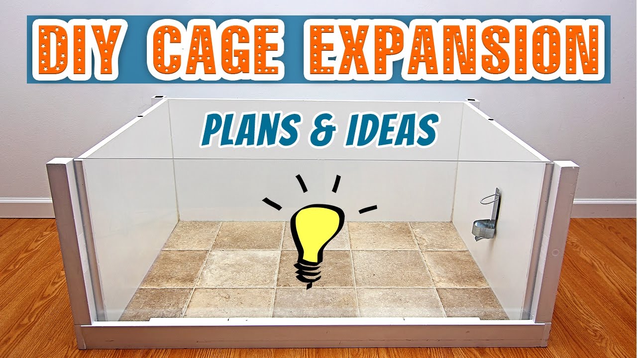 Diy Hamster Cage Expansion Plans Ideas Vlog Youtube