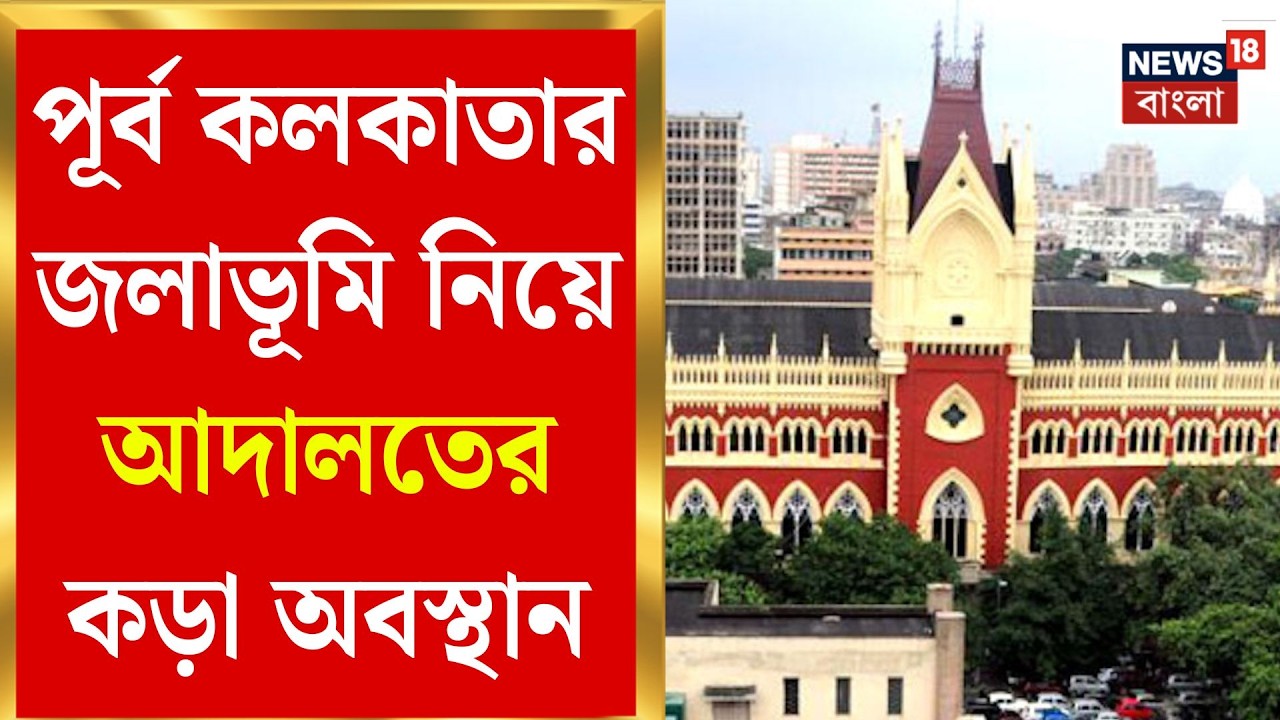 Kolkata Wetland | ৫০৫ বেআইনি নির্মাণ ভাঙতে কী পদক্ষেপ? কড়া প্রশ্ন হাইকোর্টের | Bangla News