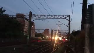 1237次亮光銀愛車交會4046次小小兵區間快通過樹林北(老蕭親自拍攝)