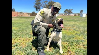 A new class of K9 "bomb dogs"