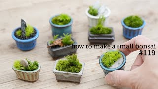 how to make a smallest bonsai #119