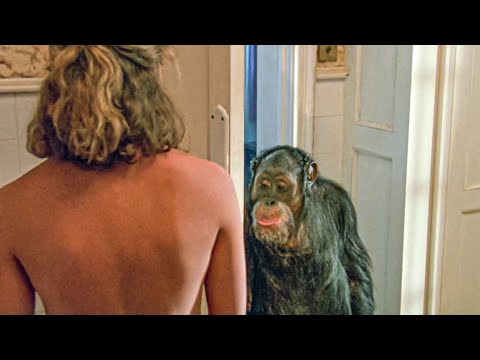 House Full Of Chimpanzees Take Over & Seduce Girl To Mate