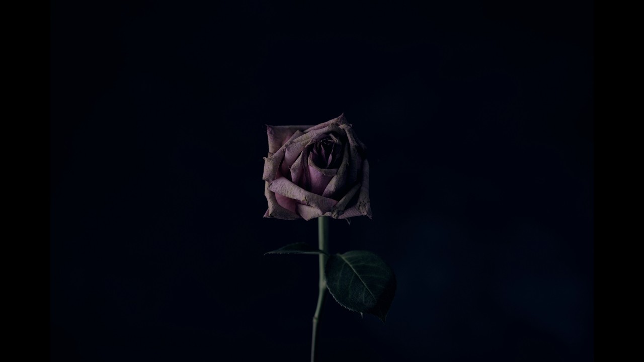 Lita Ford & Ozzy Osbourne - Close My Eyes Forever