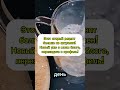 Помогает ли чеснок против болезней и старения?