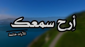 قرآن كريم بصوت القارئ: ماهر المعيقلي || أجمل حالات واتس اب دينيه  || تلاوة خاشعة 🕊 .