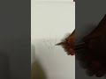 #unboxing#brushtropencil#roughart#drawing
