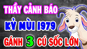 [LỜI TIÊN TRI KHẨN] Kỷ Mùi 1979: 3 Cửa Hạn Trời Định Trước Tết 2026, Biết Sớm Để Tránh Đại Họa