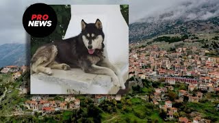 «Τον Όλιβερ τον σκότωσε άνθρωπος»: Η οικογένεια έβαλε ανεξάρτητο ερευνητή για να μάθει τι έγινε