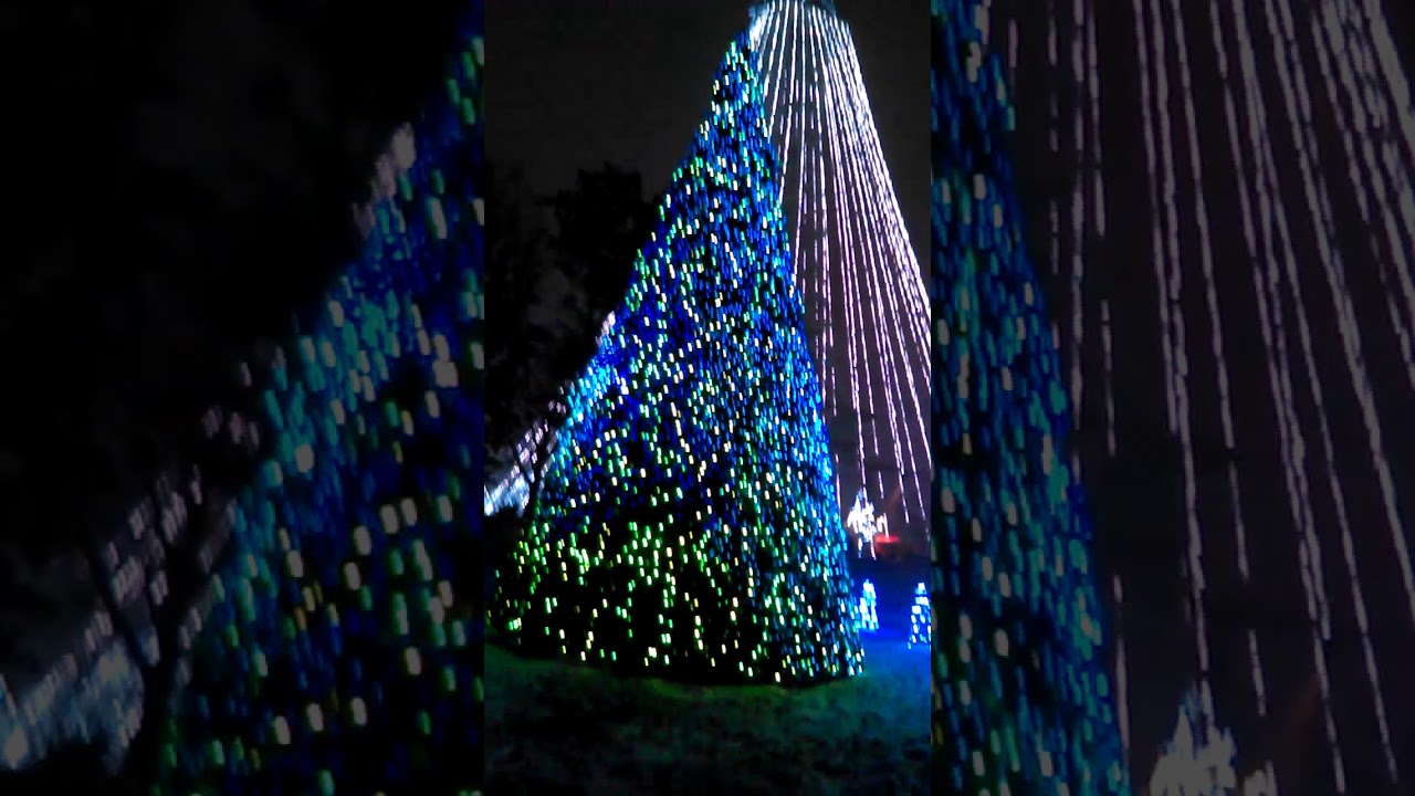 Giant Christmas tree and lights at Kings Island WINTERFEST YouTube