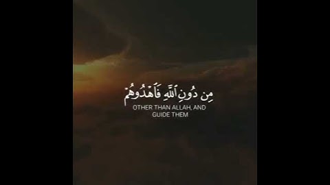 سوره الصافات من الايه (20)الى (24).