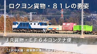 ＪＲ貨物・ＥＦ６４ロクヨン・８１レコンテナ便の勇姿（ＪＲ中央線・岐阜県中津川市坂下）