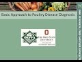 A Basic Approach to Poultry Disease Diagnosis