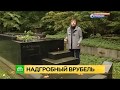 2017.10.05, НТВ: Петербургские чиновники не принимают народный памятник на надгробии М. Врубеля