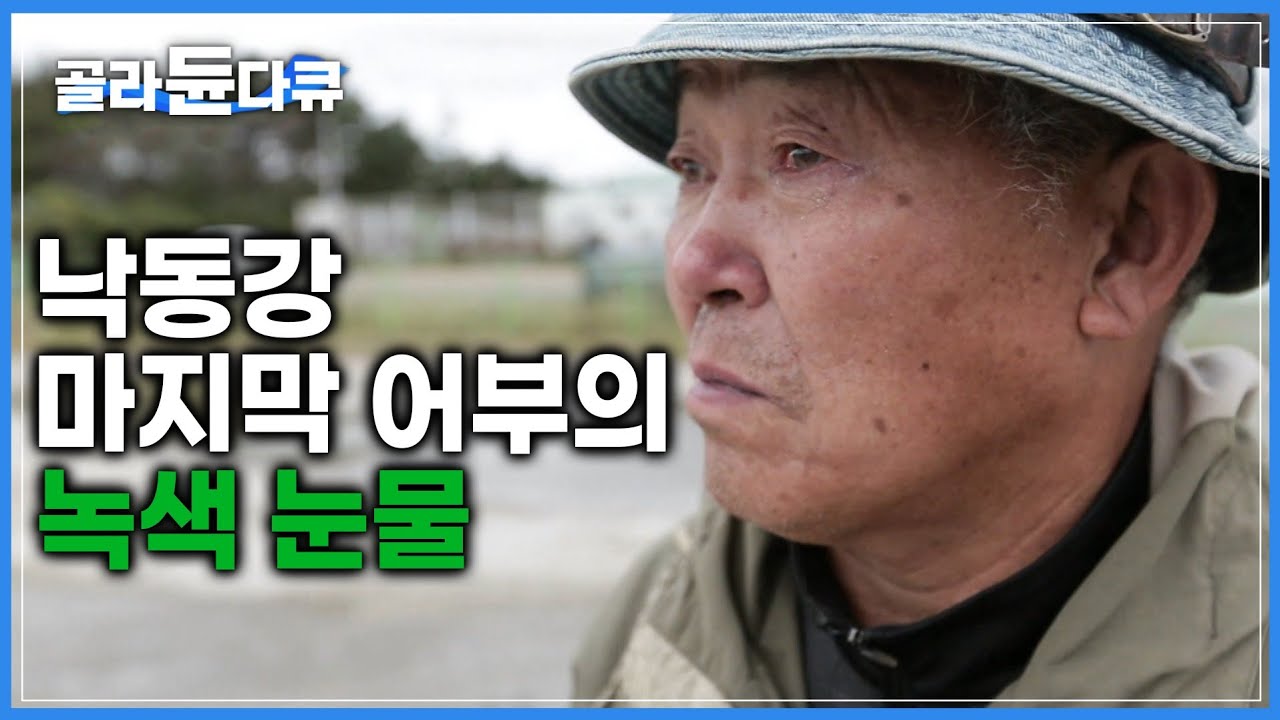 녹조 현상으로 인해 낙동강 마지막 어부는 50년 터전을 잃었다 | 변해가는 환경과 사라져 가는 생물들 | 하나뿐인지구 | #골라듄다큐