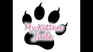 My Kitten Jade-Vlogoween #23