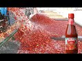 देखिए फेक्ट्री में किस तरह से टोमेटो केचप बनाया जाता है ✅ Tomato ketchup Making Process