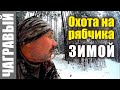 Охота на рябчика зимой | НЮАНСЫ