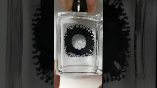 Ferrofluid Worms
