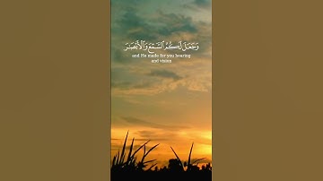 سورة النحل الآية 78 بصوت القارئ محمد الفقيه
