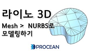 라이노에서 Mesh파일을 기초로 서피스로 모델링 시작하기 !