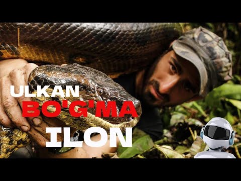 Ulkan bo'gma Ilon [ kino uzbek tilida