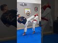 Taekwondo knockout fight tutorial shorts devtkd