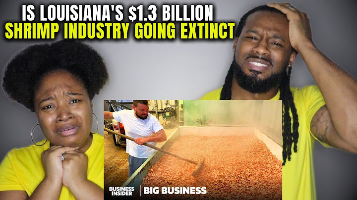 Can Louisiana's SHRIMP Industry SURVIVE the Next 5 Years? LOUISIANA NATIVES REACT
