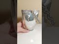 Ведро для льда Серебро Италия / 21024.