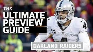 Oakland raiders 2016 team preview (infographic) | nfl