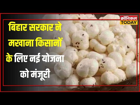 "मखाना मिशन से बदलेगा किसानों का भाग्य या फिर रह जाएगी ये एक और घोषणा?"