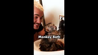 Monkey Bath Time #Shorts