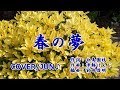 【新曲】&rsquo;18/10/31発売「歌の神さま」C/W曲『春の夢』松永ひとみ カバー/じゅん