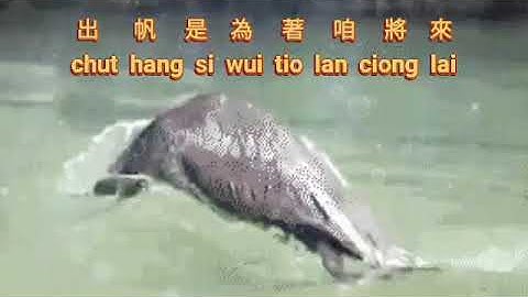 Be Thau Ciu {碼頭酒} hokkian  karaoke no vocal male  台語男版伴奏  by request