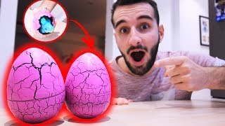 UN OEUF DE DINOSAURE RÉEL !...