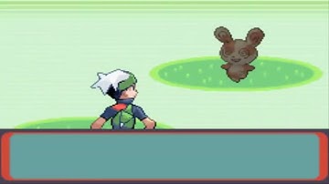 Pokemon Emerald Episode 18: Route 113 and Fallarbor Town