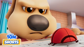 Bug Off Nasty Little Bugs 3 Talking Tom Shorts Cartoons For Kids