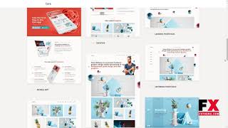Information Cora - A Creative MultiPurpose WordPress Theme Guide