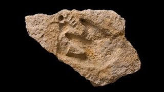 Giant Human Footprints embedded in rock, out of place out of time