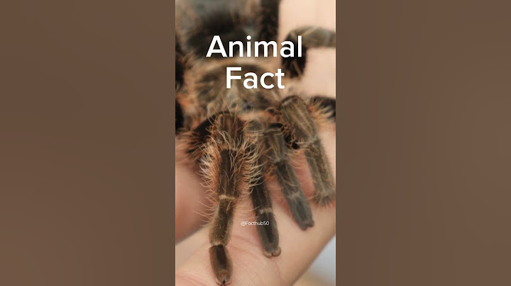 Yuck!!!! Who agrees? #facts #shorts #spiders