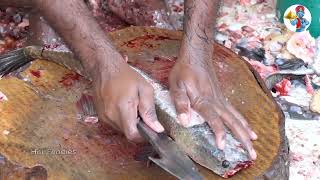 Fastest Fish Cutting Skills | Live Murrel Fish Skin | Fish Clean And Skinless | Hai Foodies