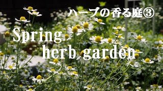 ハーブのある暮らし「ハーブの香る庭③　2020年春」