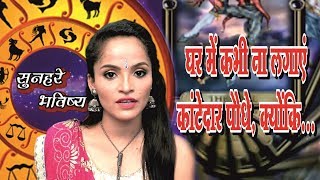 घर म य पध भल कर भ न लगए - Dr.sarita Basu