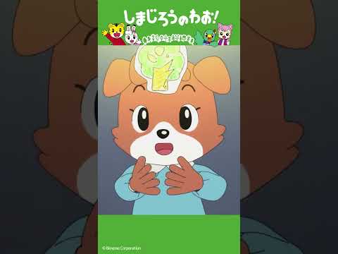 【しまじろうのわお！】ふたりで勇気を出して発表会！おひめさま │ 思いやり・友情 │ アニメ │ しまじろうチャンネル公式 #Shorts