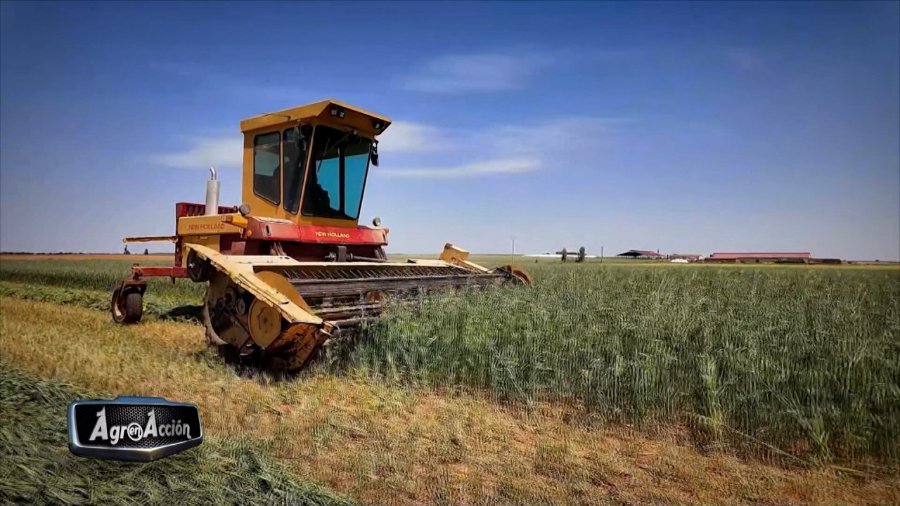 T9/E40: La cosechadora más grande de New Holland llega a Castilla y León