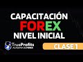 CAPACITACION FOREX DESDE CERO- Parte 1 (Aprende a invertir en forex desde cero)