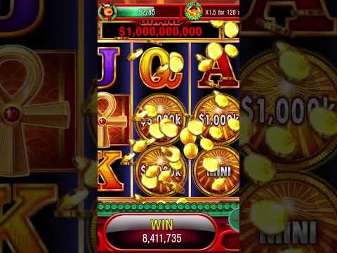 Lucky cash wheel lottery tickets!