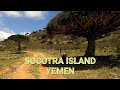 Socotra Island, Yemen