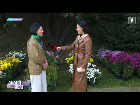 #ახალიდღე ბოტანიკური ბაღი შემოდგომის ყვავილების გამოფენისთვის ემზადება